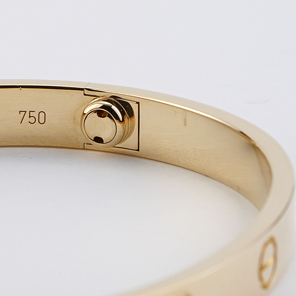 10 Cartier Love Bracelet Facts You Didn't Know – Azuro Republic